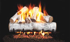 RH Peterson: White Birch Logs - 18"